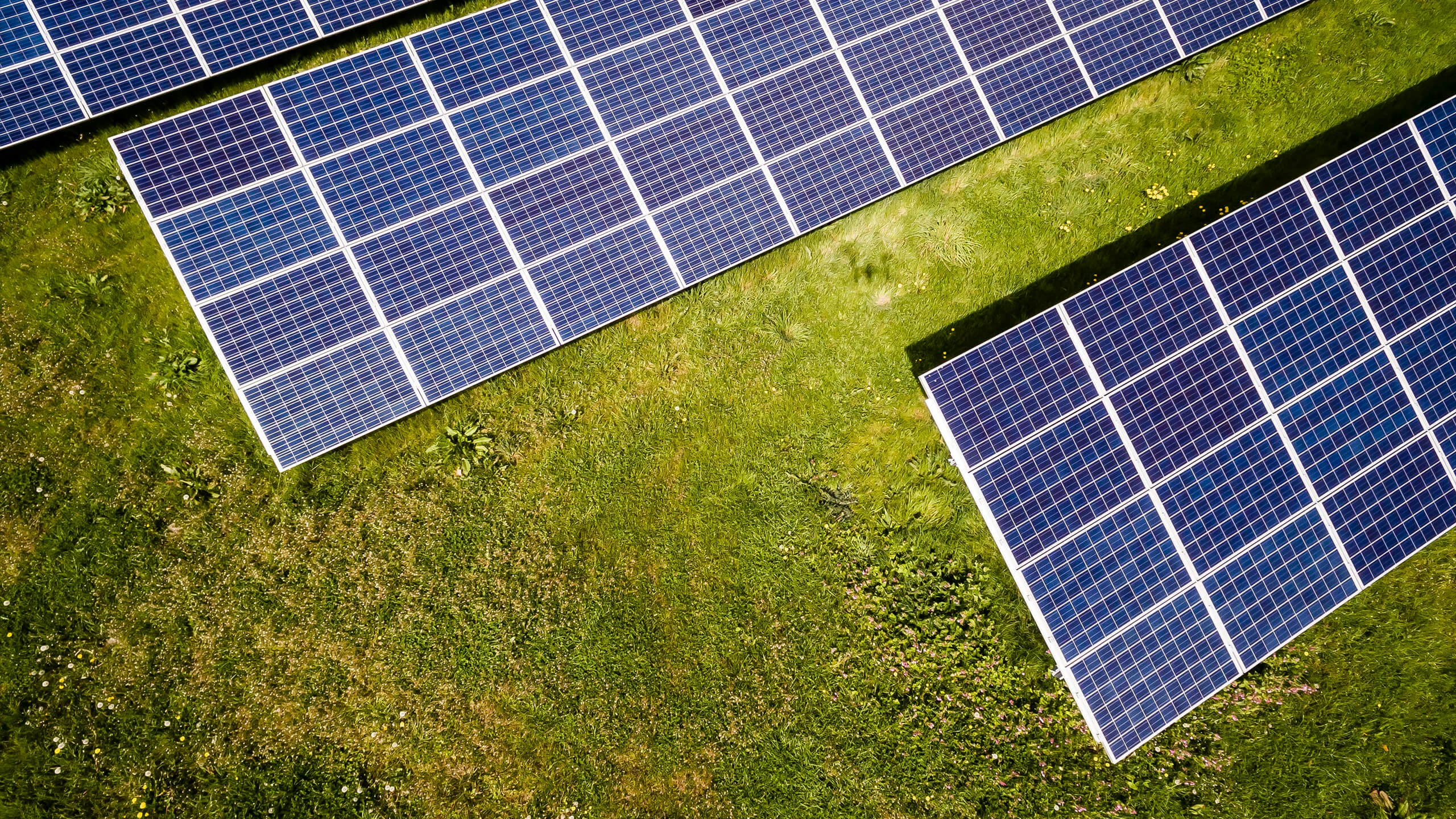 Ground-mounted solar in field